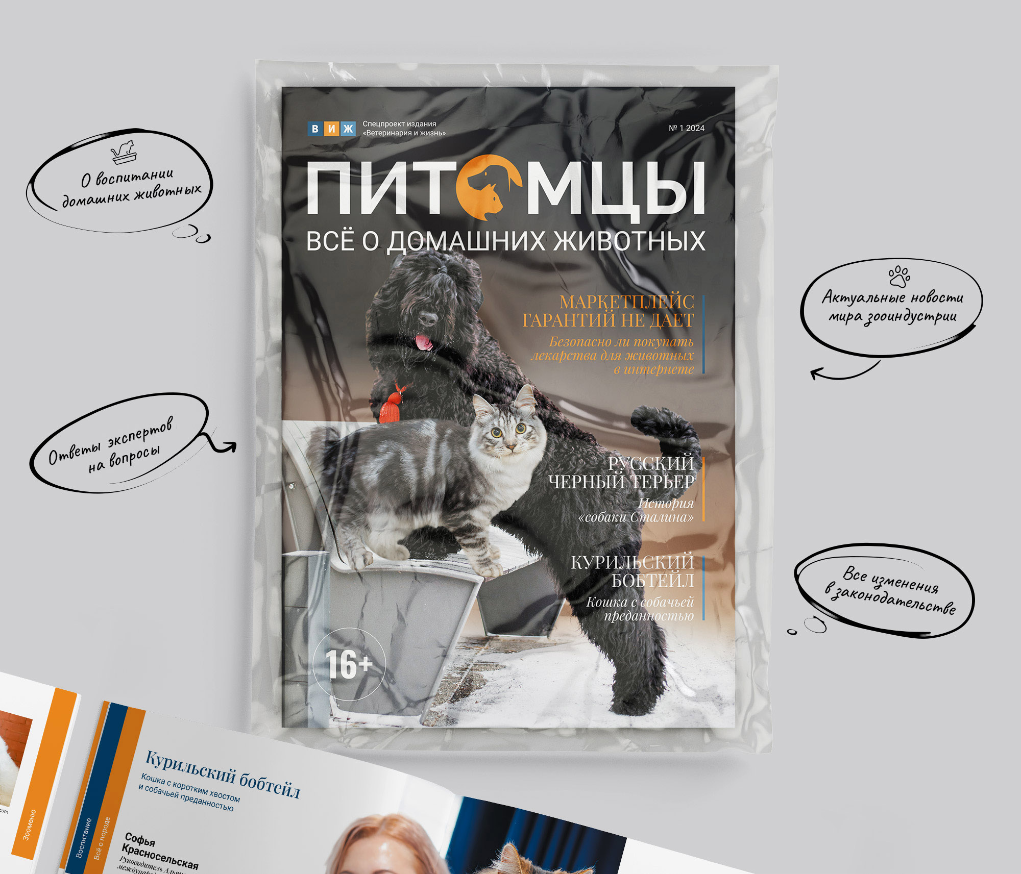 Дизайн журнала Питомцы